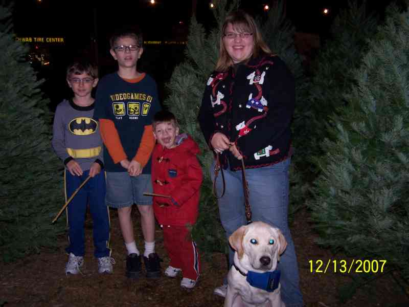 778x577 pixels (43K)